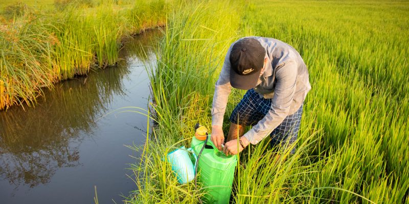 Phân loại chế phẩm vi khuẩn hiện nay 