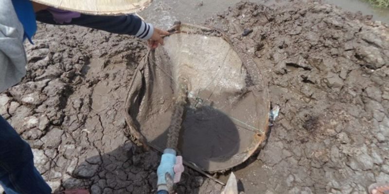Xử lý bùn đáy ao nuôi cá bằng cách ngăn chặn sự xói mòn 