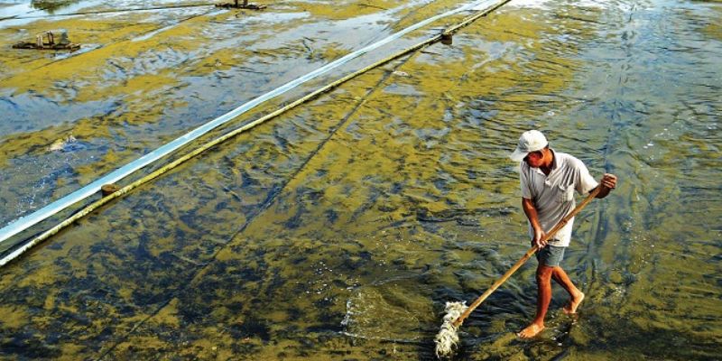 Hạn chế xói mòn ngăn ngừa tích tụ bùn
