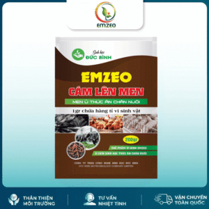 Men ủ Thức ăn Chăn Nuôi