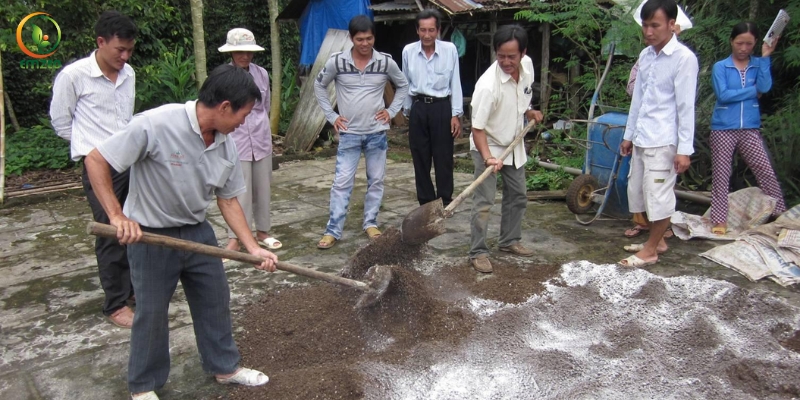 Cách ủ phân chuồng với nấm Trichoderma