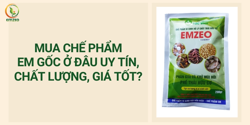 Mua chế phẩm EM gốc ở đâu?