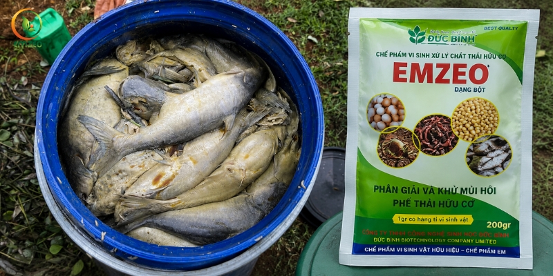 Cách ủ phân cá không hôi