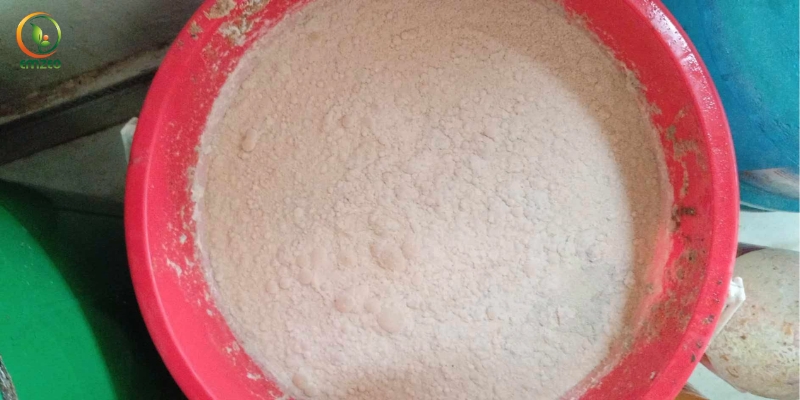 Phân chuối trứng sữa có màu trắng đục