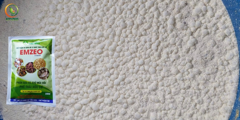 Cách làm phân trứng sữa bằng chế phẩm Emzeo
