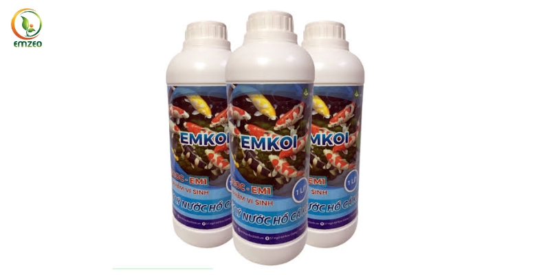 Cách làm sạch bể cá không cần thay nước bằng chế phẩm Emkoi