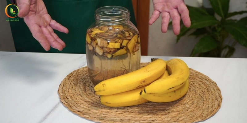 Cách ngâm vỏ chuối tưới cây