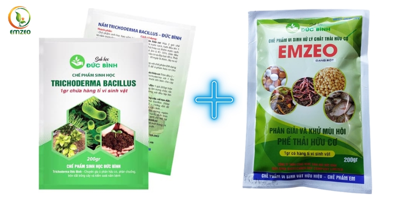 Chế phẩm Trichoderma và Emzeo có tác dụng thúc đẩy lá cây nhanh hoai mục