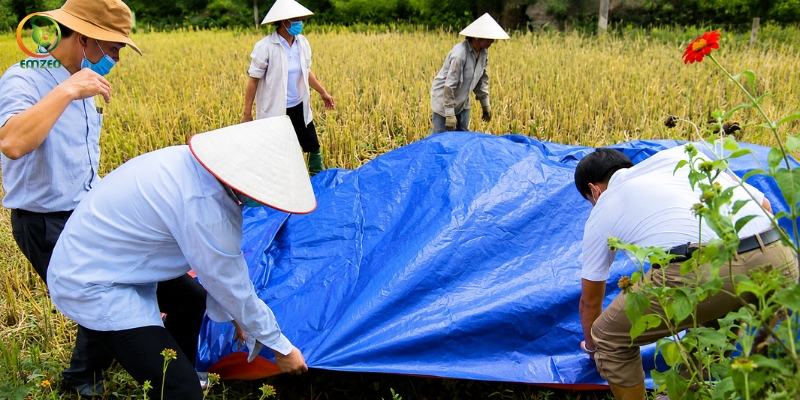 Dùng bạt che kín đống ủ lá cây