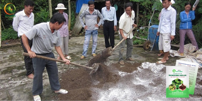 Cách ủ phân dê với nấm Trichoderma