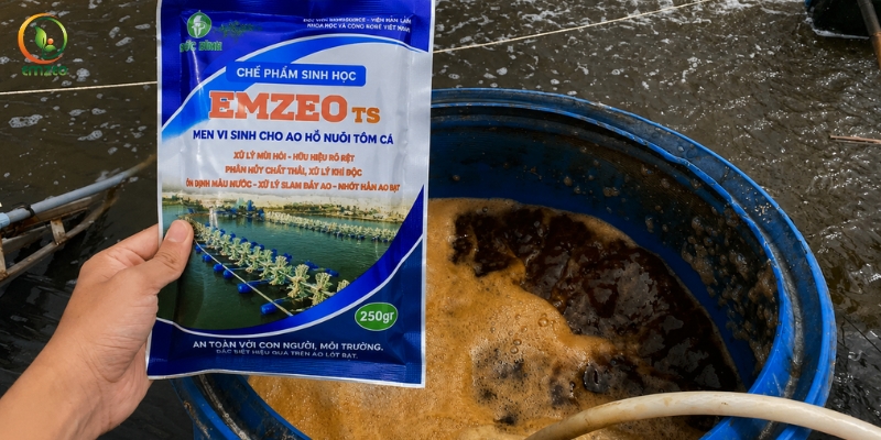 Cách xử lý đáy ao nuôi tôm bằng men vi sinh Emzeo TS 250g
