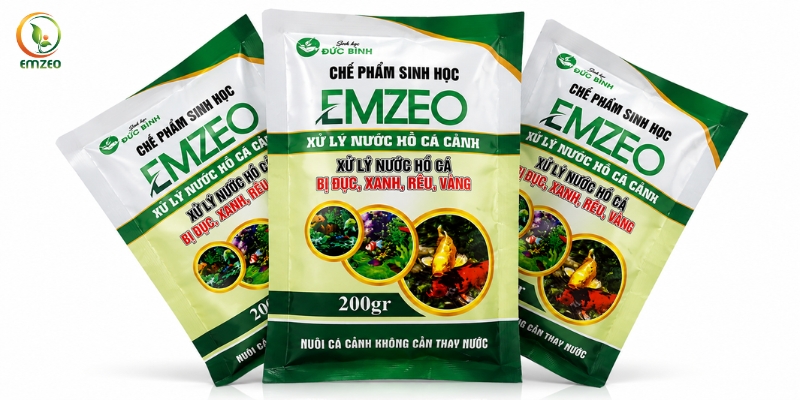 Chế phẩm sinh học Emzeo xử lý nước hồ cá cảnh