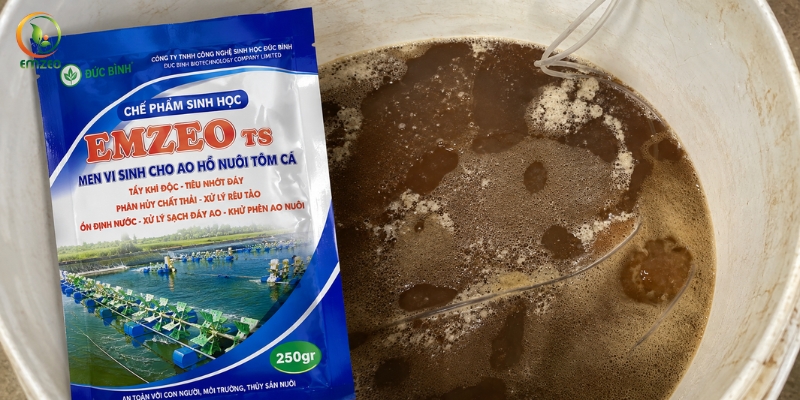 Hòa tan gói chế phẩm Emzeo TS với 2 lít mật rỉ đường và 48 lít nước sạch