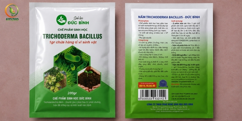Chế phẩm Trichoderma Đức Bình chứa các chủng nấm thuộc chi Trichoderma