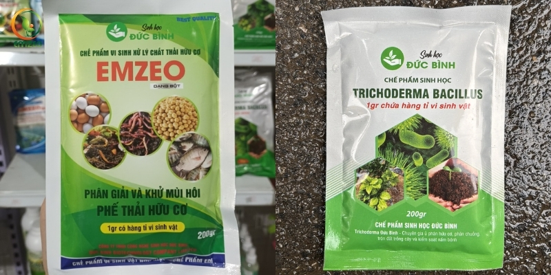 Nên dùng chế phẩm EM hay Trichoderma?