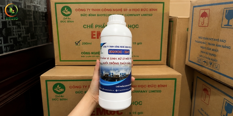 Chế phẩm EM gốc giúp xử lý môi trường nuôi trồng thủy sản