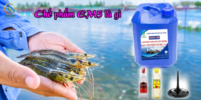 Chế phẩm EM5 được ủ từ EM gốc với rượu và giấm