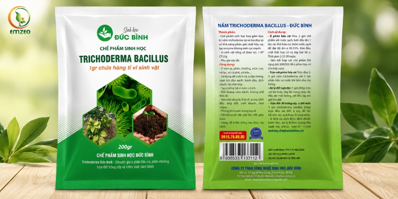 Chế phẩm nấm đối kháng Trichoderma Đức Bình