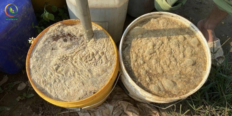Cách ủ phân đậu nành