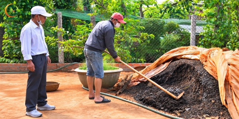 Cách ủ vỏ cà phê bón cây trồng